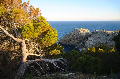 Cliffs At Capdepera Lighthouse