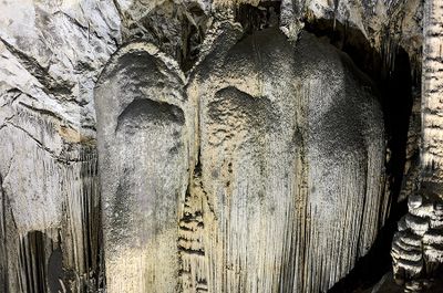 Art Caves - The Elephant