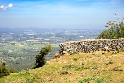 View From The Cura Sanctuary On Mount Randa