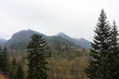 Pieniny Mountains