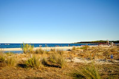 Beach And Dunes In Budoni