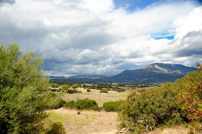 Landscape In Sardinia