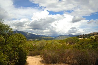 Landscape In Sardinia