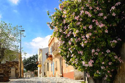 Sardinia