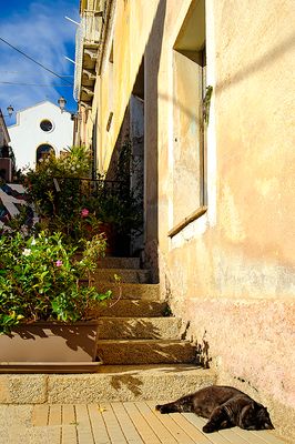 Sardinia