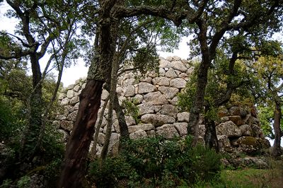 Sardinia