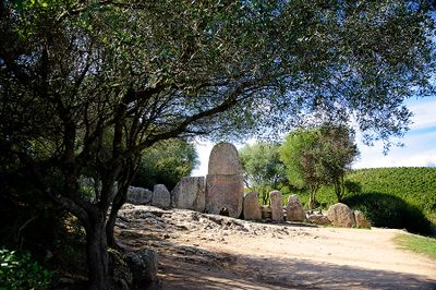 SARDINIA