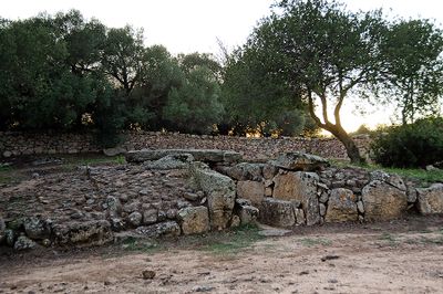 SARDINIA