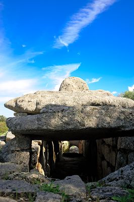 SARDINIA