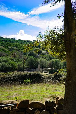 SARDINIA