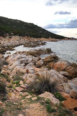 SARDINIA
