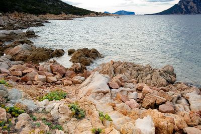 SARDINIA