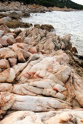 SARDINIA