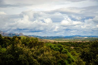 SARDINIA