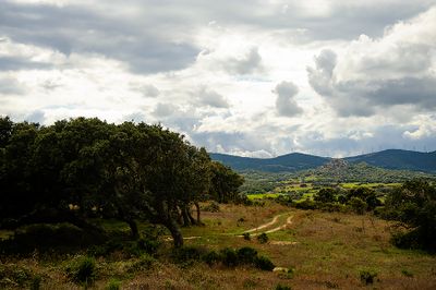 SARDINIA