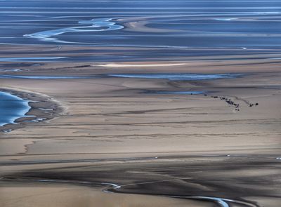 Morecambe Bay - Cross Bay Walkers - for reference ( https://en.wikipedia.org/wiki/Cross_Bay_Walk) 