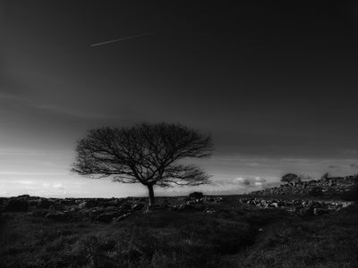 Farleton Knott