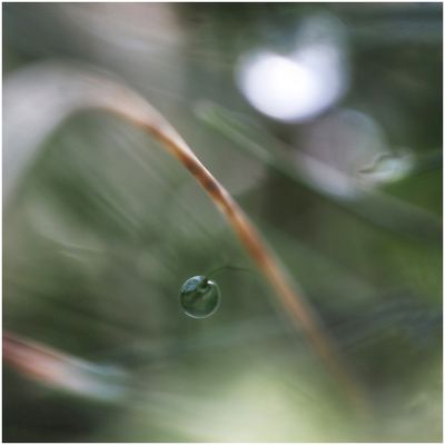 Micro Droplet 