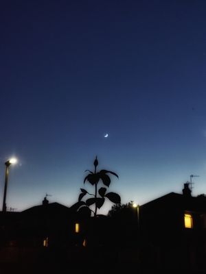 Reach for the Stars