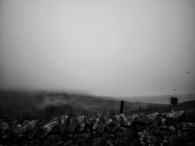 g13/62/544562/3/175009237.9a83b396.JPEG