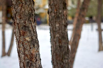 @f1.7 NEX5