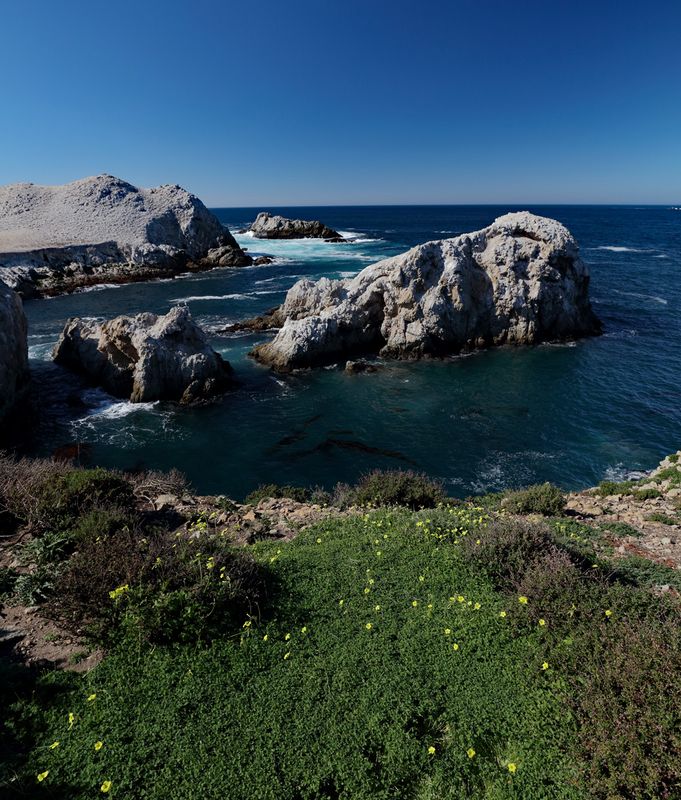 Point Lobos Blue