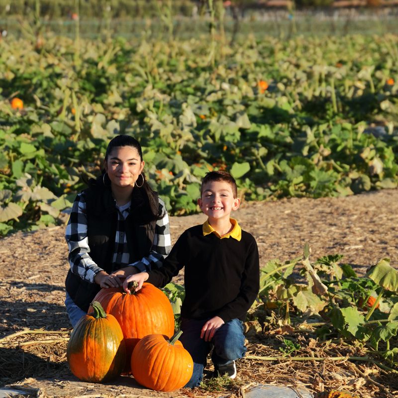 Pumpkin Picks of the Day