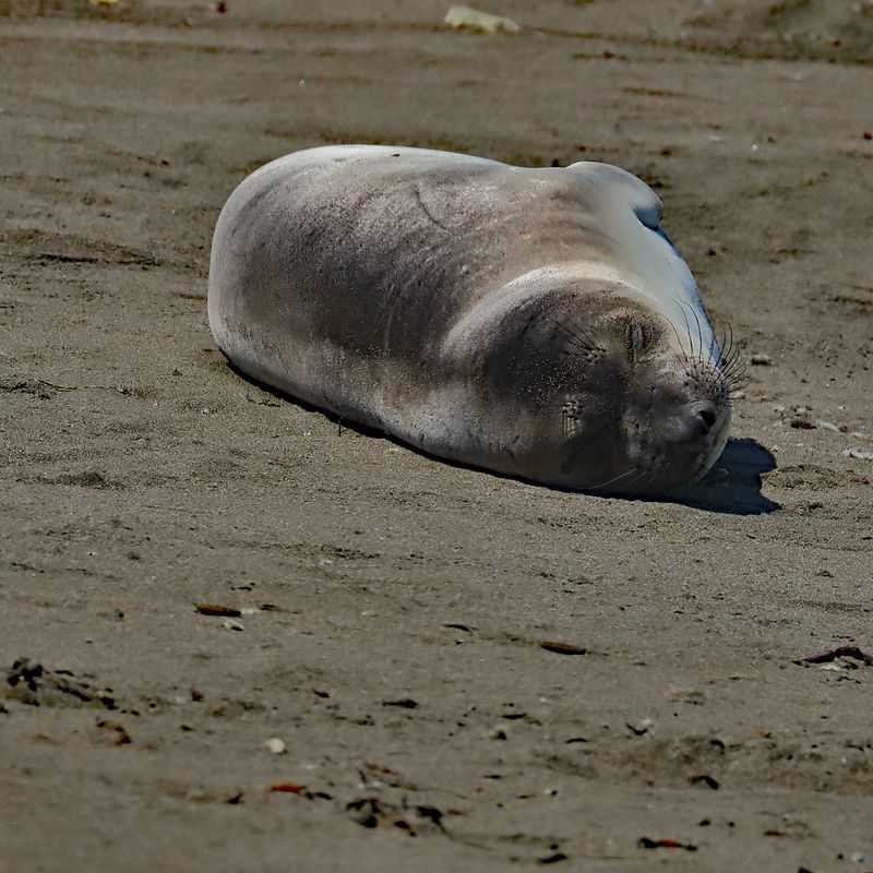 Deep Sleep