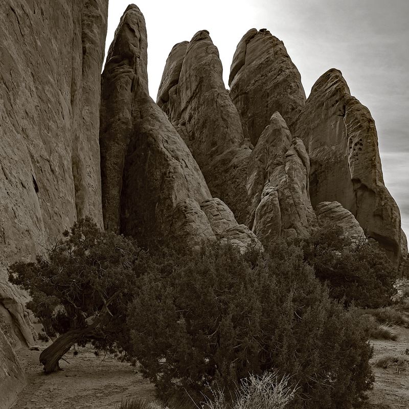 Arches Fins