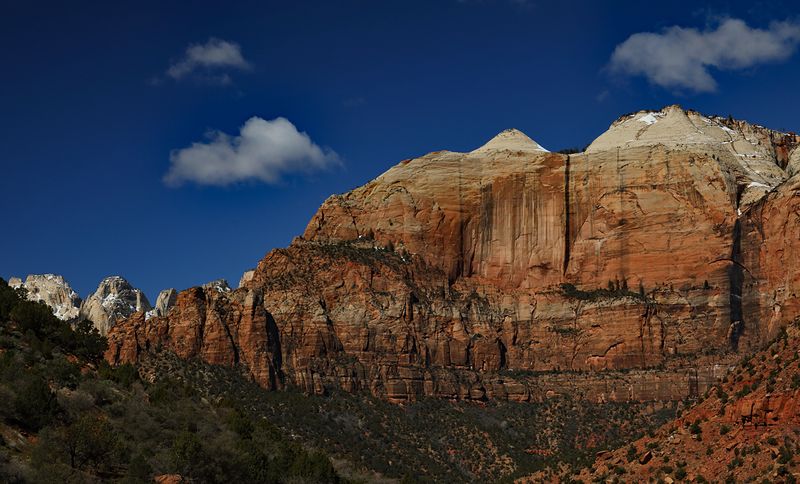 Spring Coming Soon to Zion