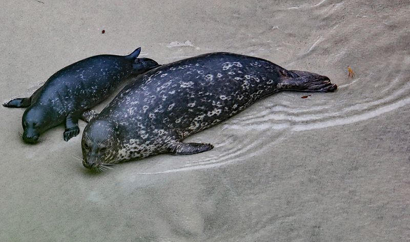 Mom & Newborn
