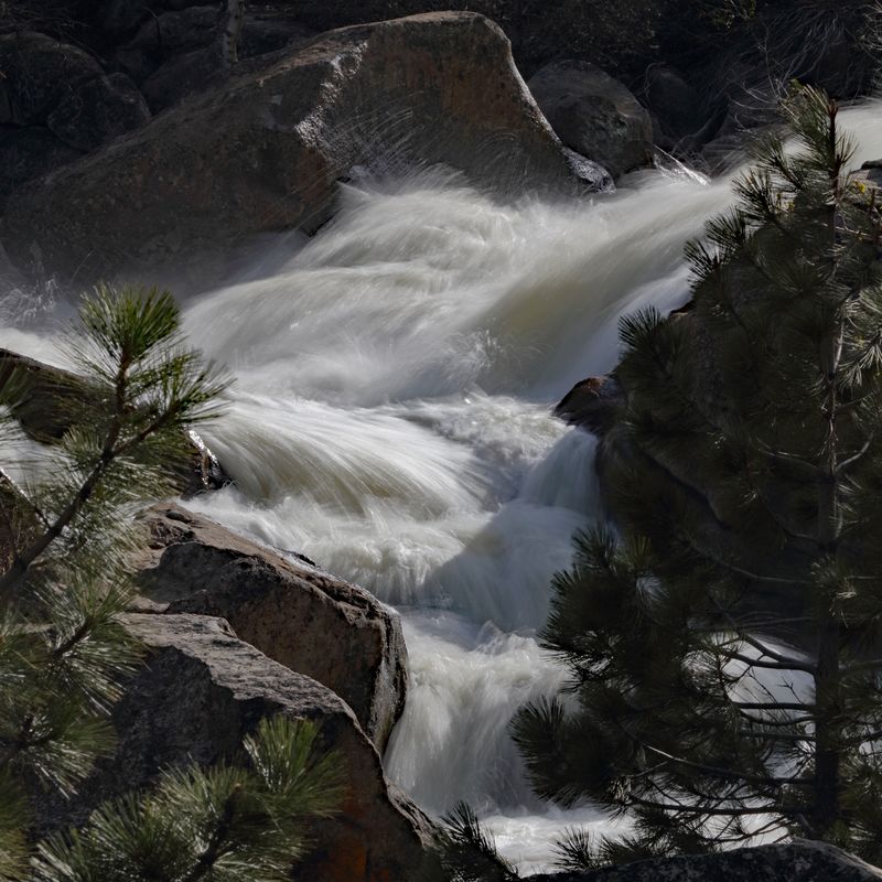 Spring Runoff