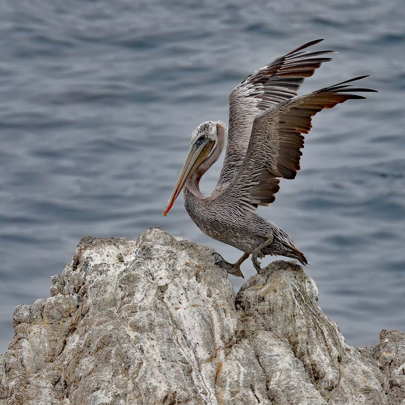 Pinpoint Landing