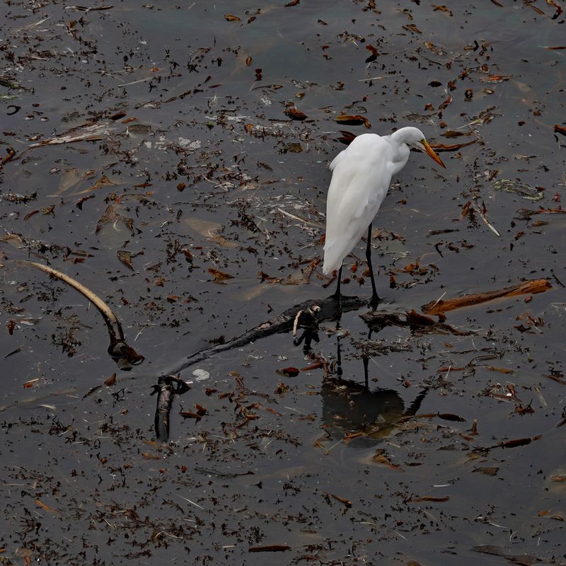 Walking on Water