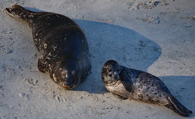 Mother & Child