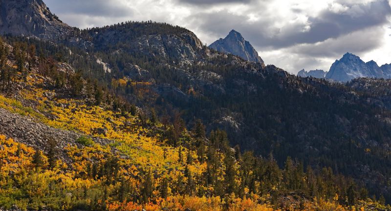 Sierra Autumn in the High County