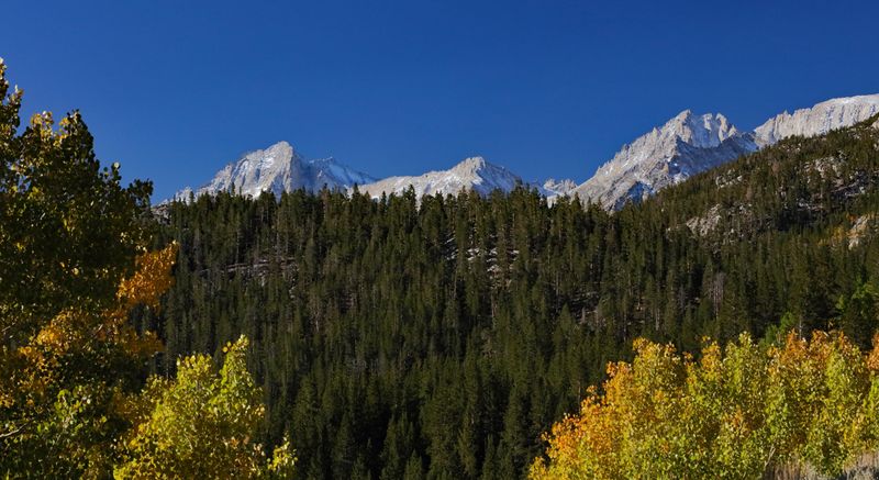 Autumn Color