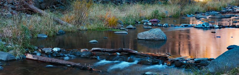 Reflective Oak Creek