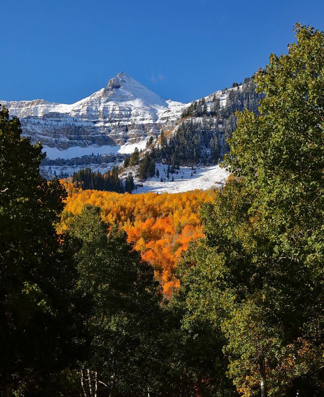 Autumn Color