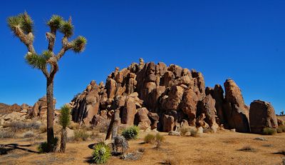 Desert Rock Pile