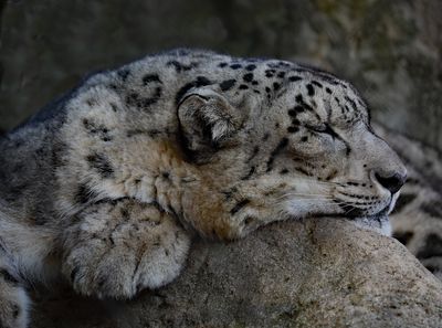 Morning Nap