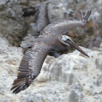 Cleared to Land