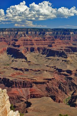 The Grand Canyon