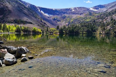 The Sierra