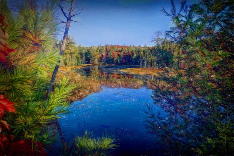 Painted 2022_236.JPG