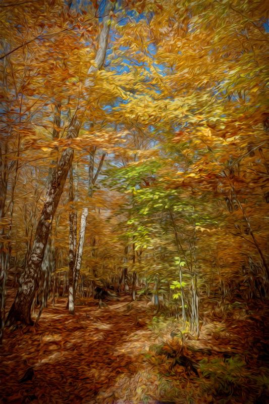 Painted 2022_238.JPG