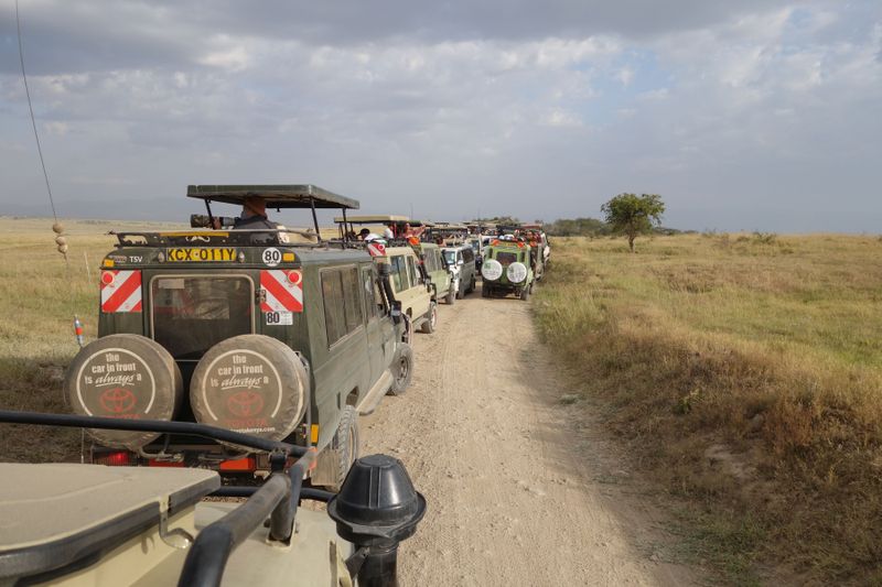 Lake Nakuru PB-16_01.JPG