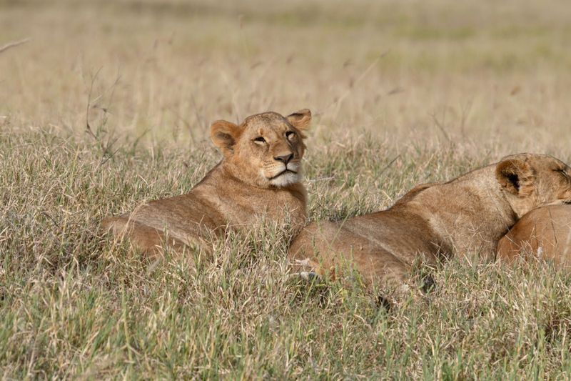 Lake Nakuru PB-31_01.JPG