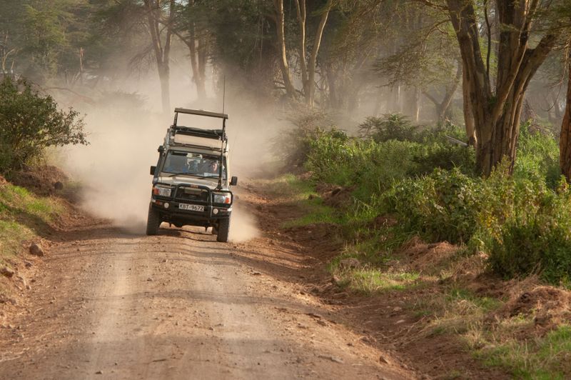 Lake Nakuru PB-39_01.JPG
