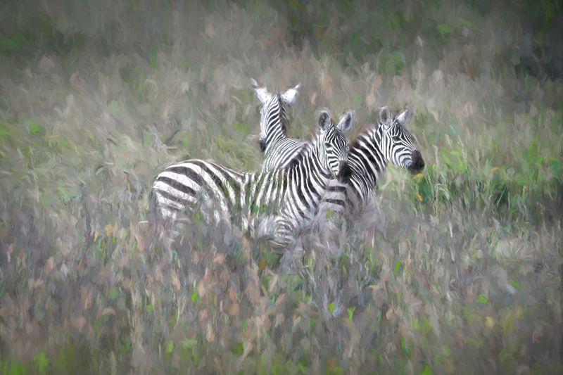 Lake Nakuru Painted_10.JPG